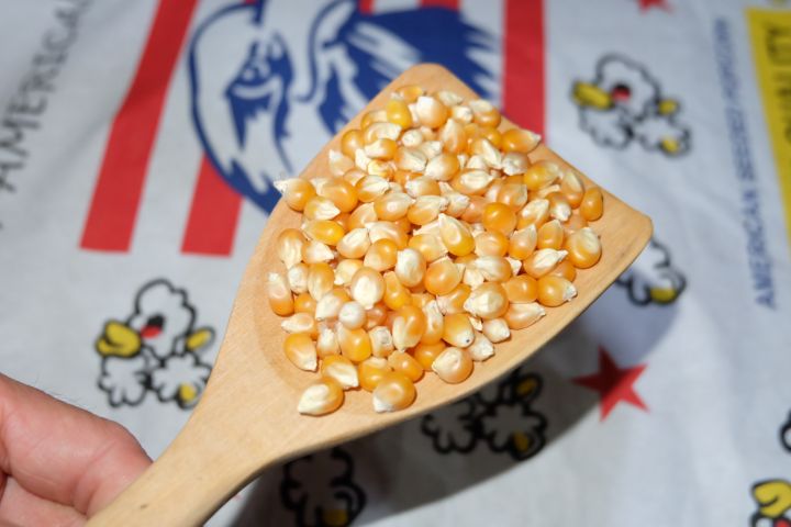 mushroom-popcorn-ข้าวโพดมัชรูม-ป๊อบคอร์นมัชรูม-เมล็ดข้าวโพดมัชรูม-ขนาด-1-000-g