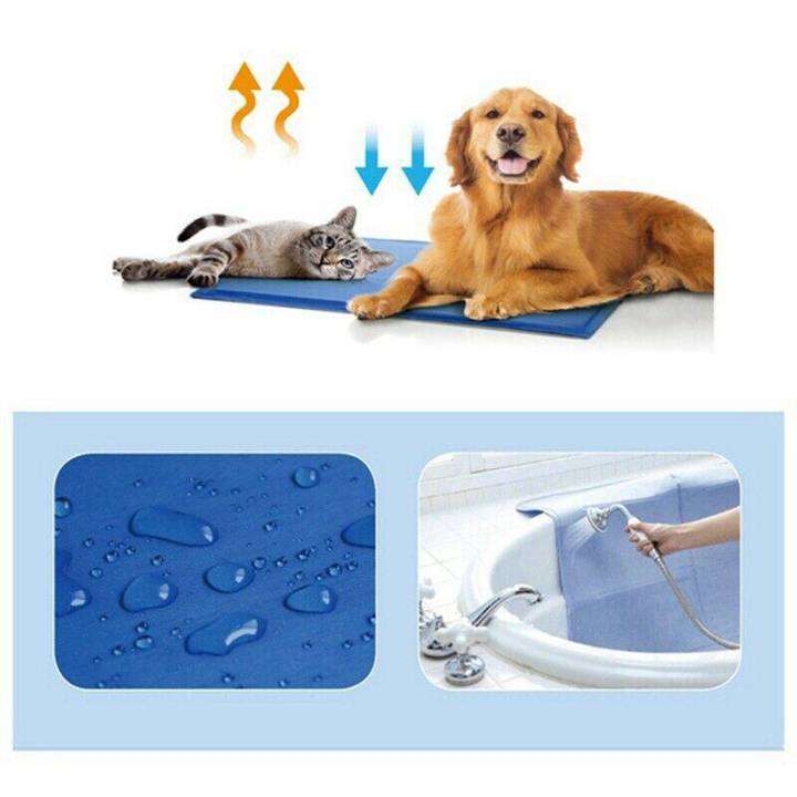 พร้อมส่ง-pet-cool-mat-ที่นอนเจลเย็นสำหรับสัตว์เลี้ยง-แผ่นเจลเย็น-แผ่นระบายความร้อน