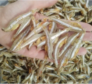 Ca kho kho, Cá mờm sữa khô, khô cá cơm trắng loại béo