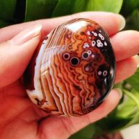 Natural Stone Sardonyx Agate Crsytal Palm Aquarium Decor Ornaments Lrregular Gem and Reiki Meditation Spiritual Healing Crystals