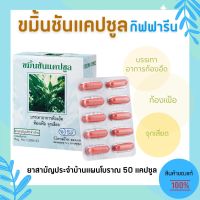 ขมิ้น ขมิ้นชัน แคปซูล กิฟฟารีน บรรเทาอาการท้องอืด ท้องเฟ้อ จุกเสียด Curcuma Giffarine