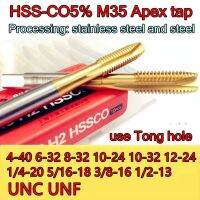 4-40 6-32 8-32 10-24 10-32 12-24 1/4-20 5/16-18 3/8-16 1/2-13 UNC UNF HSS-Co M35 ไทเทเนียม Apex tap