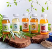 Kombucha trà bất tử lên men tự nhiên