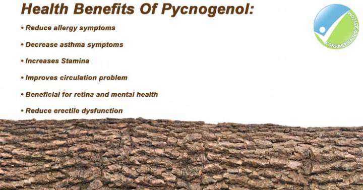 สารสกัดจากเปลือกสนฝรั่งเศส-pycnogenol-100-mg-60-veggie-caps-healthy-origins