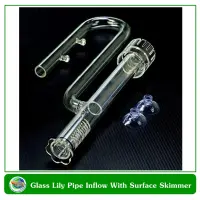 Aquarium Glass Lily Pipe Inflow With Surface Skimmer 13mm ท่อแก้วน้ำเข้า พร้อมสกิมเมอร์ตีผิวน้ำ สำหรับท่อขนาด 12/16 มม.