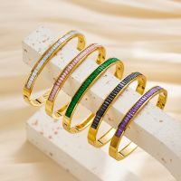 【YF】 Luxury Designer Jewelry For Women Pulsera Bracelet Femme Acier Inoxydable Bangles