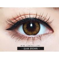 คอนแทคเลนส์ wink สี Brown ค่าสายตาปรกติ ลาย Quan