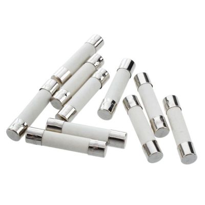 10 pcs AC 250 V 15 A 6 x 30 mm, high speed kick cylindrical fuse tube ceramic · white + silver