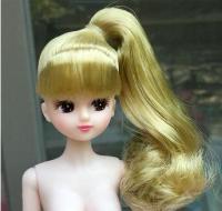 2019 takar licca new Licca Doll boyfriend male doll bjd Licca 25cm height doll head+body