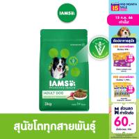 IAMS ไอแอมส์ โปรแอคทีฟ เฮลท์ อาหารสุนัขพรีเมียม - อาหารสุนัขแบบแห้ง สำหรับสุนัขโต, 3 กก. อายุ 1 ปีขึ้นไป