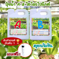 ปุ๋ย ไฮโดรโปรนิกส์ ปุ๋ยน้ำ AB  ขนาด 1 ลิตร   250-1000 CC ใช้ปลูกผักสลัด ผักกินใบ กินผล ( แถมหลอดตวงปุ๋ย )