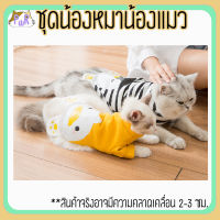 เสื้อหมา เสื้อแมว ชุดสัตว์เลี้ยง pet costume