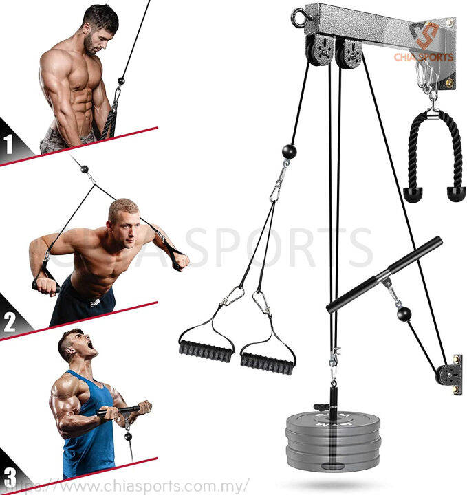 Wall Mounted HiLo Pulley Cable Machine High Lat Pulldown Low Row