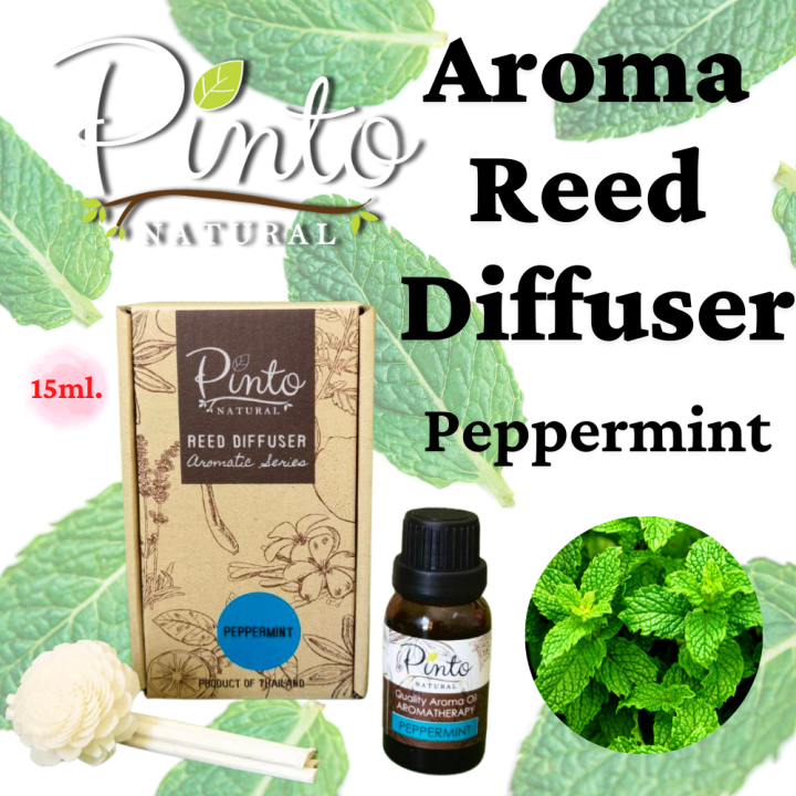 ใหม่-pinto-natural-ก้านไม้หอมปรับอากาศ-15ml-ไซส์มินิ-น้ำหอมปรับอากาศ-aroma-reed-diffuser-15ml