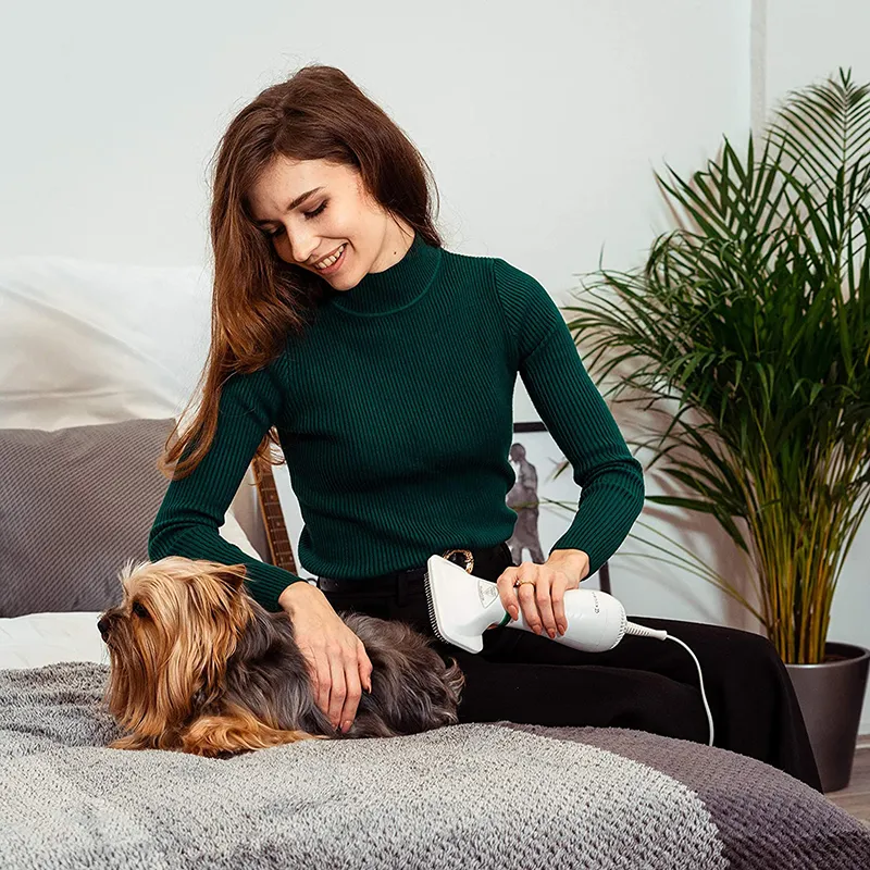 2 in 1 Pet Hair Dryer Portable Blowers with Slicker Brush Pet Grooming Cat  Hair Comb Dog Fur Blower Adjustable Temperature Pet Brush | Lazada PH