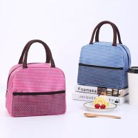 hot【cw】 Insulated with Mesh Insert Hiking Thermal Insulated Bento Students