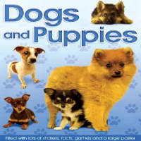 Plan for kids หนังสือต่างประเทศ Dogs And Puppies Fun Folder ISBN: 9781846667633