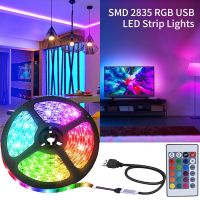 USB LED Strip Lights 2835 RGB Lights Flexible LED Lamp Tape Ribbon with Remote Controller Room Decor Desktop Screen TV Backlight