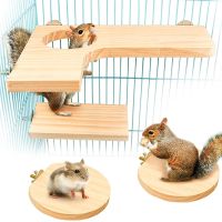 【cw】 5Pcs Wood Hamster Platform Rat Activity Chinchilla Accessories with Washers for Birds O11 21