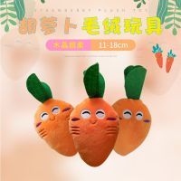 TEXNew pet dog plush sound bite resistant teething dog toy Crystal Super soft carrot pet toys  dog accessories  pet products