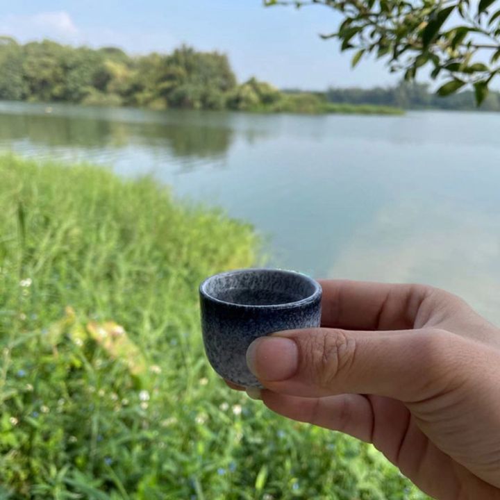 1-set-exquisite-japanese-style-ceramics-sake-cup-sake-pot-retro-sake-set-japanese-retro-simple-ceramic-sake-cup-and-pot