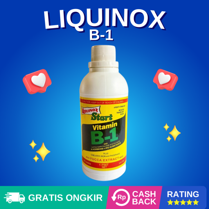 Isi 470ml Ukuran Besar Pupuk Vitamin B1 Tanaman Liquinox Tanaman Lebih ...