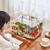 [COD] tank aquarium plastic transparent hot curved goldfish living room balcony home landscaping and medium-sized ecological desktop