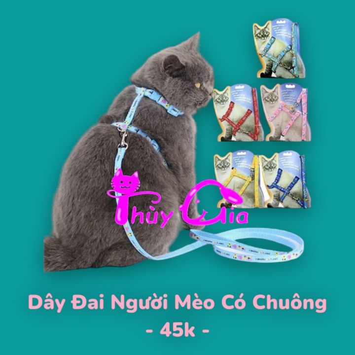 Dây Dắt Có Chuông Kèm Yếm Cho Mèo (BỘ GỒM 1 DÂY DẮT VÀ 1 YẾM ...
