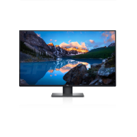 Dell 43" U4320Q UltraSharp 4K 60Hz USB-C Multi Client Monitor, with 3-Year Warranty