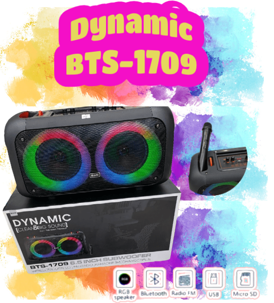 Brodu BTS1709 Portable Subwoofer Bluetooth Karaoke Speaker with