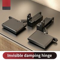 Aluminum Alloy Door Pivot Hinges Hydraulic Buffer Aluminum Frame Glass Door 360 Degree Adjustable Invisible Hinge Hidden Shaft