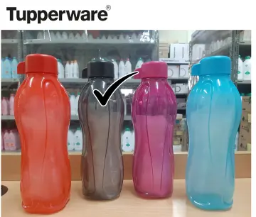 Tupperware Eco Bottle 310 mL Tumbler, Facebook Marketplace