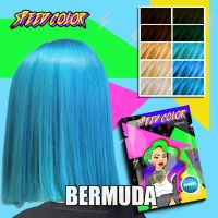 ครีมเปลี่ยนสีผม ยี่ห้อ SPEED COLOR สี ( BERMUDA ) แบบซอง