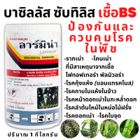 เชื้อBS บาซิลลัส ซับทีลีส กำจัดโรคพืช แคงเกอร์ รากเน่า โคนเน่า ใบจุดใบไหม้ Bacillus subtilis ลาร์มิน่า