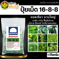 ? รุ่งอรุณ 16-8-8 (ปุ๋ยแบ่งขาย) 1กิโลกรัม ปุ่ยสูตร เร่งต้น เร่งใบ ฟื้นต้น