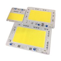 50w/100w /150w LED COB CHIP lighting AC220V 110V LED Floodlight Lamp SMART IC city power White/warm white Free Shipping