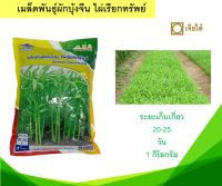 เมล็ดพันธุ์ผักบุ้งจีน ไผ่เรียกทรัพย์ เจียไต๋ 1 กิโลกรัม