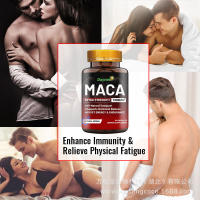 MACA สนับสนุนความสมดุลของฮอร์โมนกระตุ้นพลังงานเม็ดยาแคปซูลสำหรับผู้ชาย