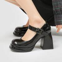 [COD] retro round toe shoes womens 2023 new niche design temperament high-end thick-heeled high-heeled