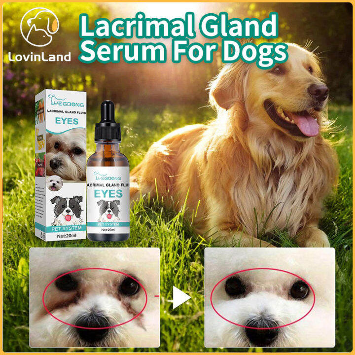 Tear Stain Remover For Dogs Wash Pet Eyedroppings Eye Gum Cleaner