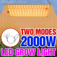 Phytolamp 2000W Grow Led บอร์ดเรือนกระจกแบบเต็มโคมไฟ1000W