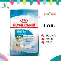 ✨ จัดส่งฟรี Royal Canin Mini Starter Mother &amp; Baby Dog 1kg อาหารเม็ดแม่สุนัข และ ลูกสุนัขหย่านม พันธุ์เล็ก อายุ 1-2 เดือน เก็บเงินปลายทาง ✨