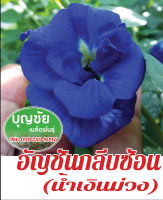 อัญชัน 30 seed (ซื้อ10 แถม1) เมล็ดผักสลัด / เมล็ดพันธุ์ / เมล็ดพันธุ์พืช / เมล็ดผัก คุณภาพดี อัตราการงอกสูง พร้อมคำแนะนำการเพาะเมล็ด