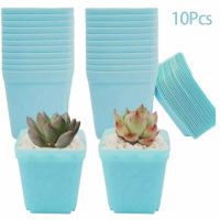 [NEW EXPRESS] 10PCS Plastic Succulents Plant Pots Square Nursery Pot Home Garden Cactus Flowerpot Planter Vase Decoration