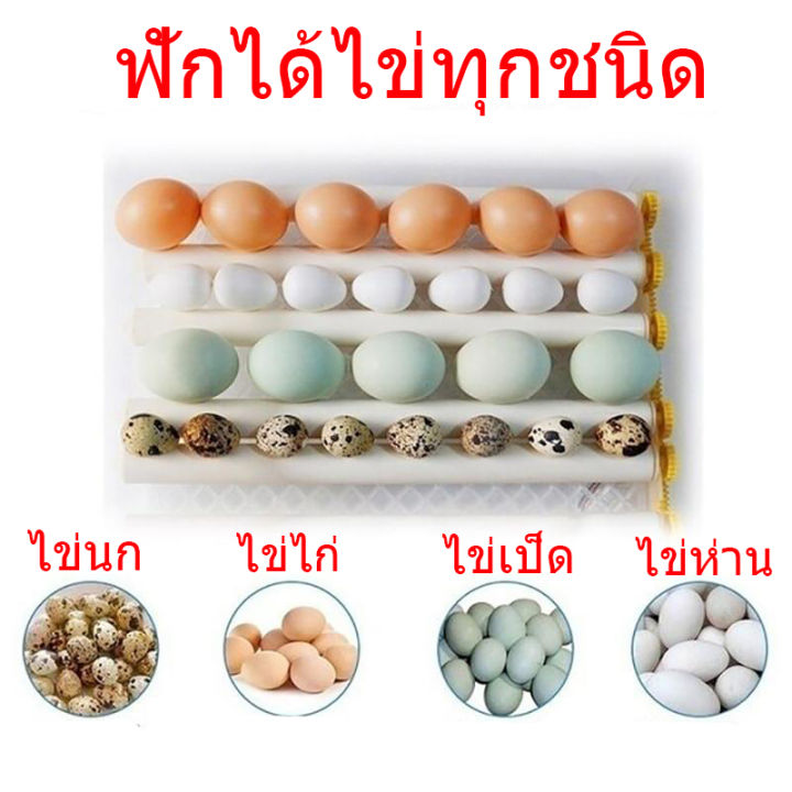 รับประกัน-ตู้ฟัก-ตู้ฟักไข่-ตู้ฟักไข่-ตู้16ฟอง-ตู้ฟักไข่ถูกๆ-ตู้ฟักไข่อัตโนมัติ-ตู้ฟักไข่เป็ด-ห่าน-นก-นกแก้ว-ราคาพิเศษ