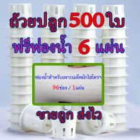 ส่งไว!! ขายถูกมาก!! ถ้วยปลูกผักไฮโดรโปรนิกส์ ชุด 500ใบ ฟรีฟองน้ำ 6แผ่น | ถ้วยปลูก  ถ้วยปลูกผักไฮโดรฯ  หนาทนทาน รับประกันความคุ้มค่า