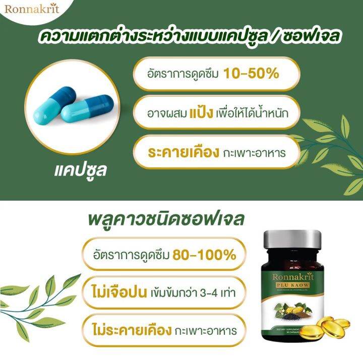 ส่งฟรี-พร้อมส่ง-สะเก็ดเงิน-กลากเกลื้อน-เชื้อรา-สมุนไพรพลูคาว-รณกฤต-อาหารเสริมสมนไพร-พลูคาวสกัด-ภูมิคุ้มกัน-ร่างกายสมดุล