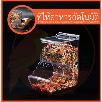 🥰ส่งฟรี [พลาสติกใส] ที่ให้อาหารอัตโนมัติ สำหรับสัตว์เลี้ยงขนาดเล็ก ที่ให้อาหารหนู ที่ให้อาหารนก