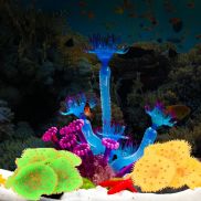 Jnfgtv 2023 sống động như thật cho trang trí bể cá sống động san hô mềm