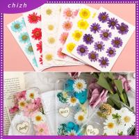 CHIZH 12PCS/Bag งานฝีมือ เรซิน DIY ศิลปะ กด เดซี่ดอกไม้ประดิษฐ์ การทำเครื่องประดับ